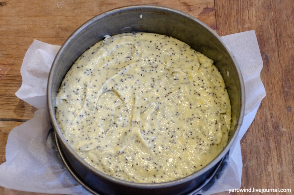 DSC_9925.jpg DSC_9925.jpg