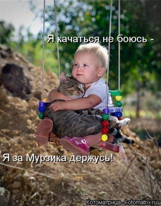 Лучшие котоматрицы недели (49 фото) Забавный котопост