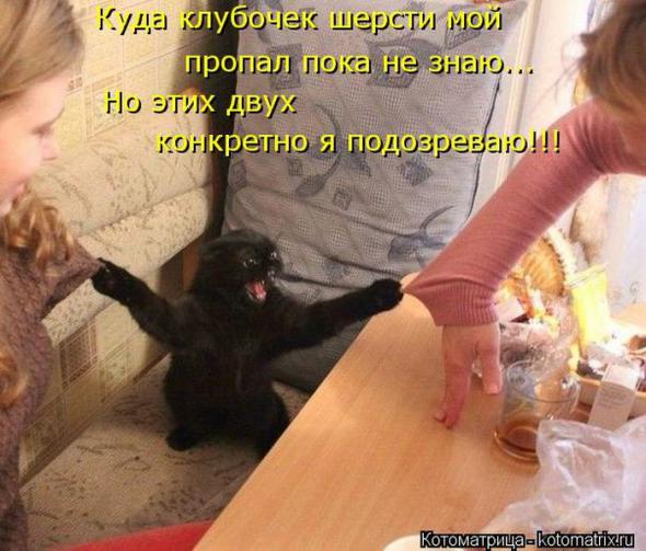 (  )