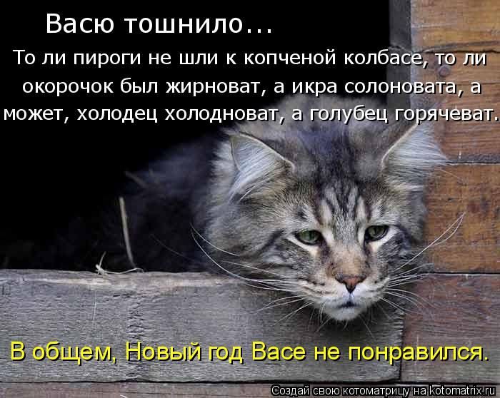 Лучшие котоматрицы прошедшей недели