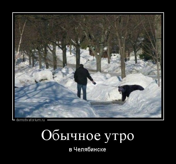 Демотиваторы + прикольные картинки | 2015-12-16 Демотиваторы + прикольные картинки | 2015-12-16