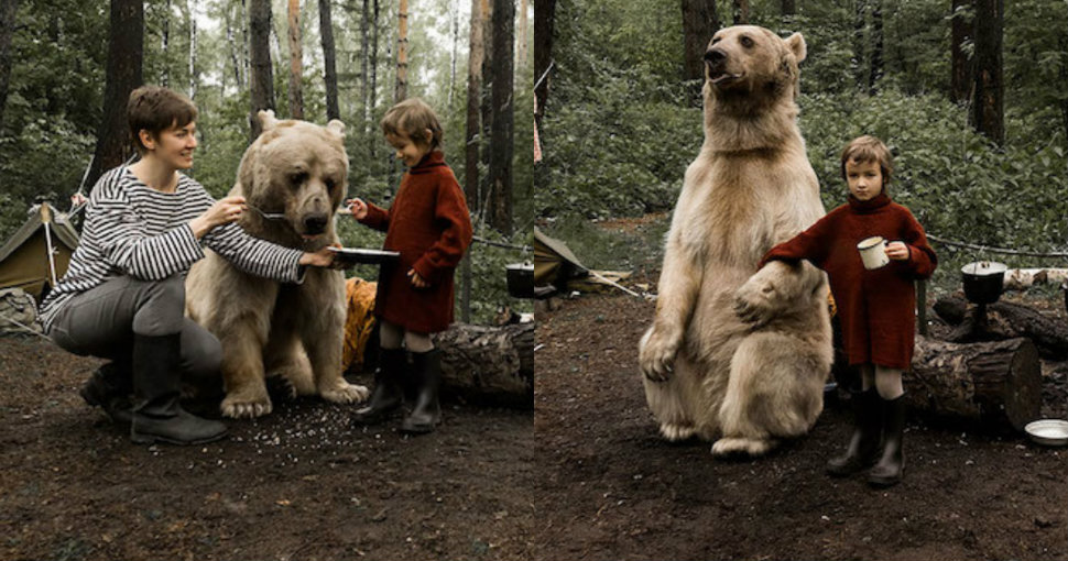 Русская семья подружилась с медведем в лесу для антиохотничьей кампании