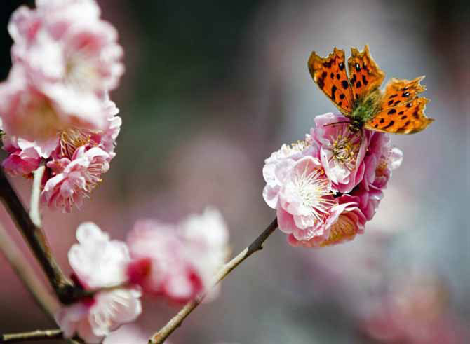 Весенние дни