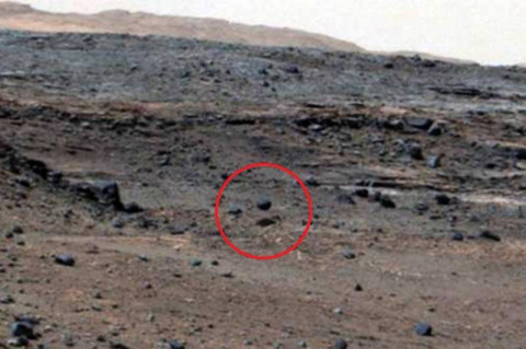 На фото с Марса разглядели л&hellip;
