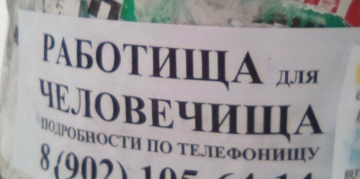 Человечище, приветище! Вакансии мечты: для тех кто в поиске работы
(22 фото)