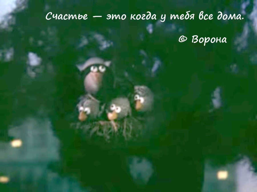 Жизненные цитаты из любимых мультфильмов Жизненные цитаты из любимых мультфильмов