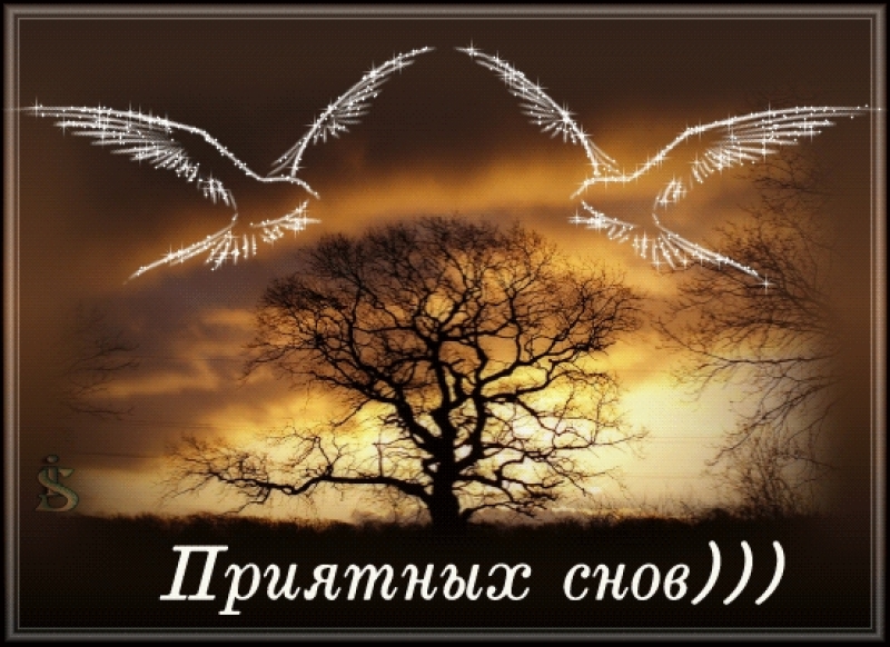http://mtdata.ru/u24/photoA4B0/20429926973-0/original.jpg