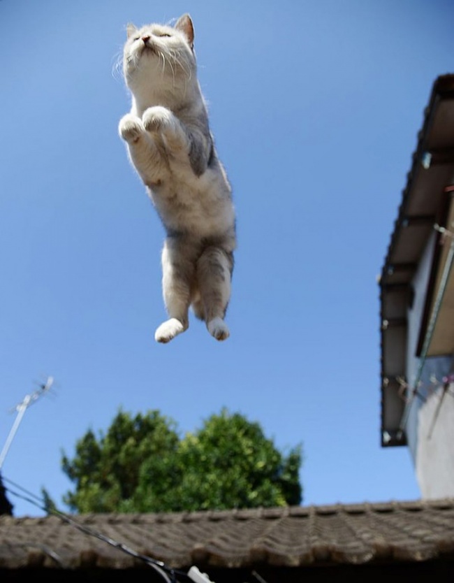10  ,    