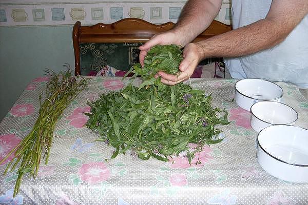image (8) image (8)
