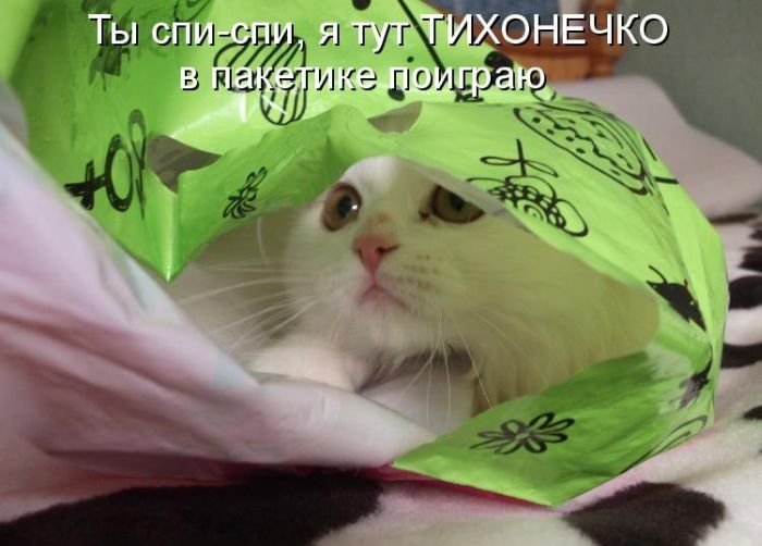 Котоматрица. Часть 2. (45 фото)