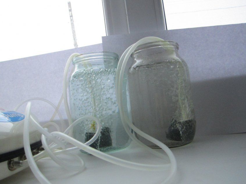 ��� � ��� ���� ����� ������������� ������