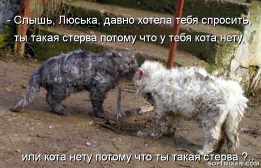 f770340732d0954416efaf0bb7b_prev