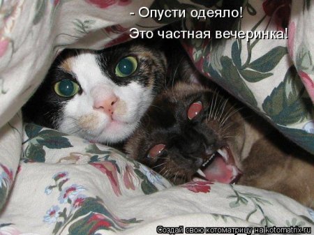 ��������� ����������� ������������..