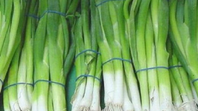 149397101348gkn-520x346