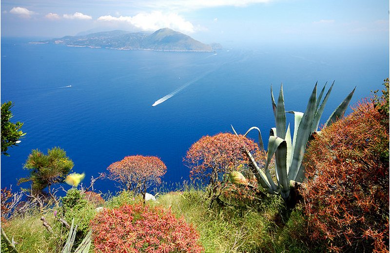 NewPix.ru - Живописный остров Капри,Италия