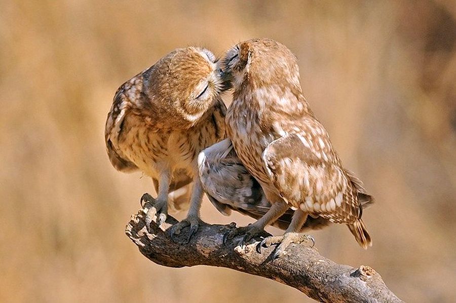 NewPix.ru - ������������ ���������� ��������