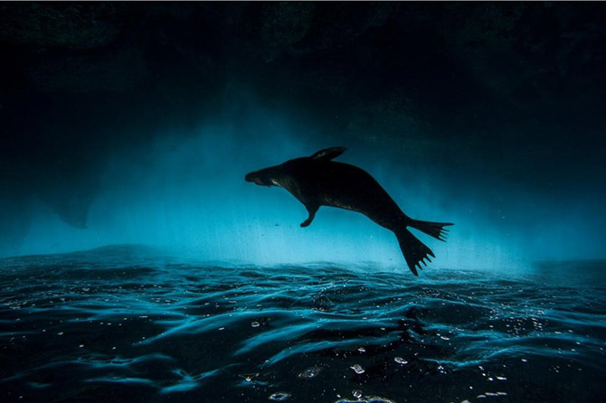 30 dMe Photo Awards 2014