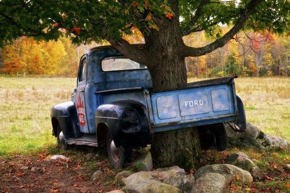 Автоюмор дня!