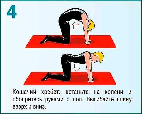 После этих упражнений вы забудете о болях в спине навсегда. это должен знать каждый