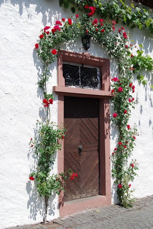 ���������� � ������ ����� � ���: ����� � �����