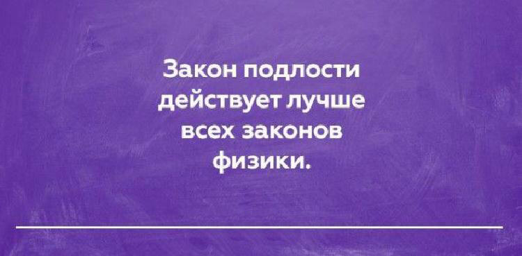 20 открыток о правде жизни, в которых Вы обязательно найдете что-то свое 20 открыток о правде жизни, в которых Вы обязательно найдете что-то свое
