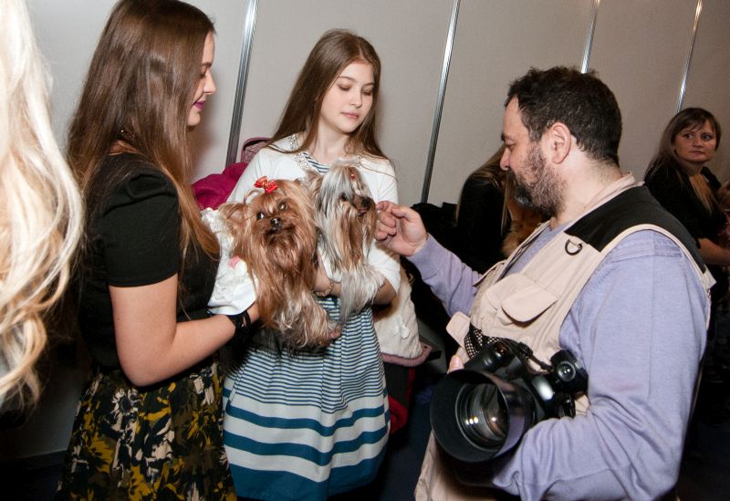 Забавный Backstage шоу маленьких собачек на на «Artpodium 2015» Забавный Backstage шоу маленьких собачек на на «Artpodium 2015»