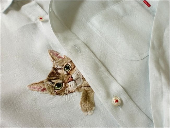 Карманные котята Карманные котята