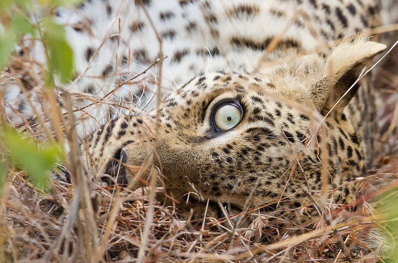 �������� � ���������