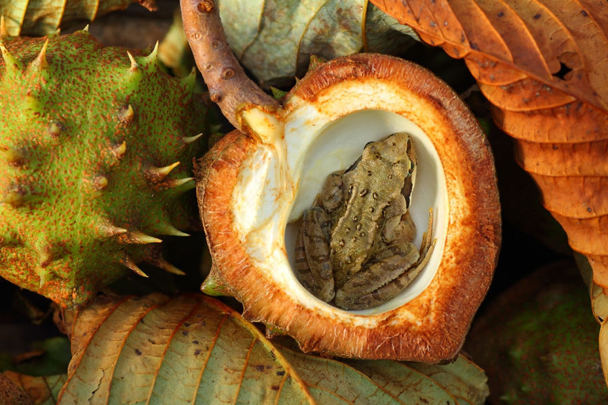 24. ������� � ����� ����, �������, ��������