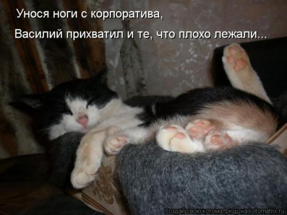 Котоматрицы (картинки с надписями)
