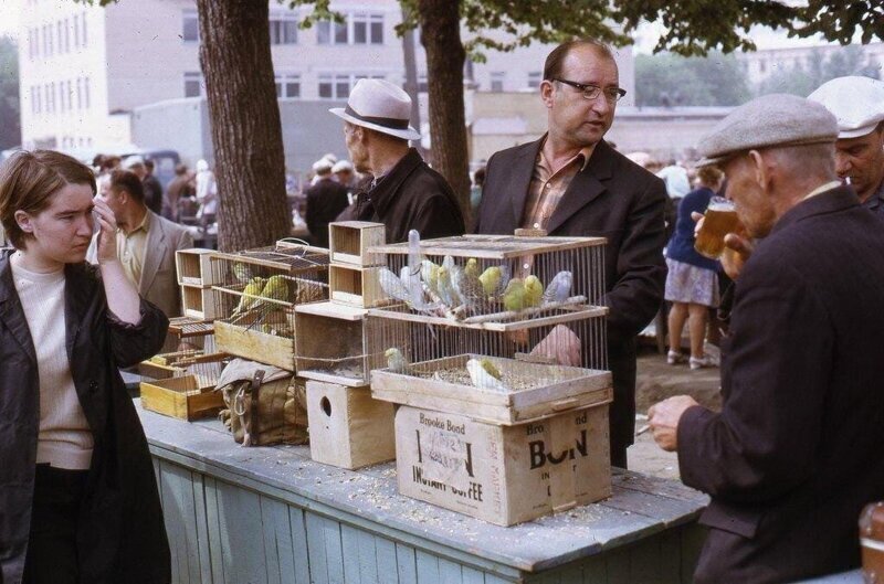 г. Москва,Птичий рынок, 1973 г. Впечатляющие картины жизни прошлых столетий
(39 фото)