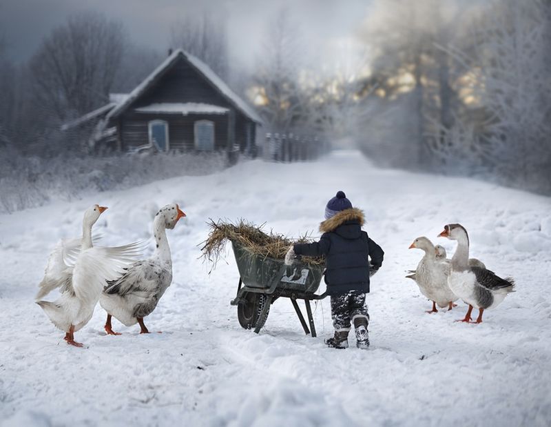 Фотоподборка за 23.01.2015 интересное, фото, фотоподборка