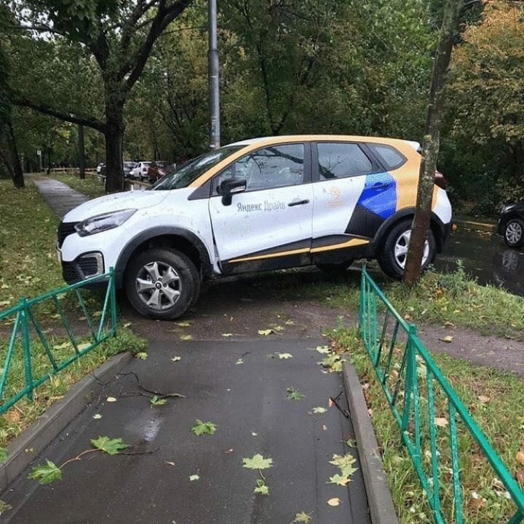 Вот хозяева двора, в голове у них дрова