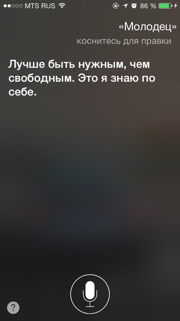 3. А в чем смысл ее существования 3. А в чем смысл ее существования iphone, siri, юмор