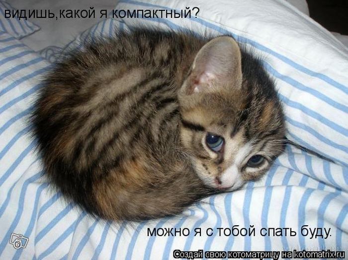 Уфф!!! Ну наконец-то! Котоматрицы великолепные, каждая с доброй улыбкой!!!