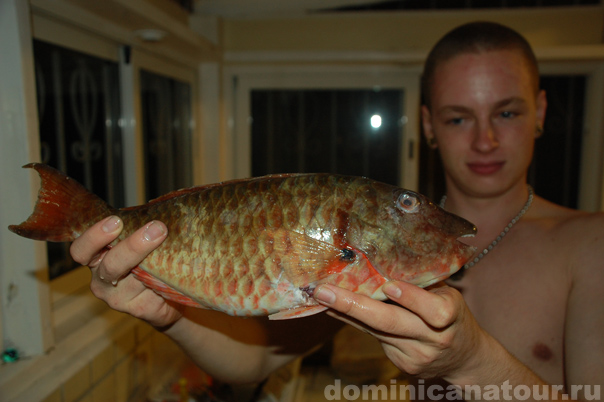 подводная охота в Доминикане