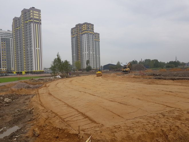 Санкт-Петербург окружат лесопарковой полосой
