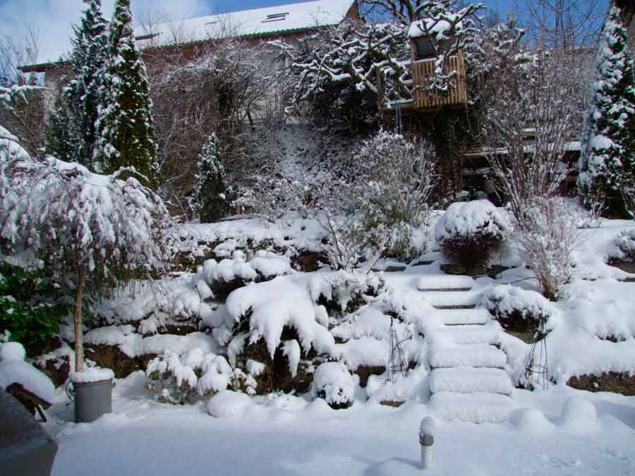 Зимний сад зимой фото
