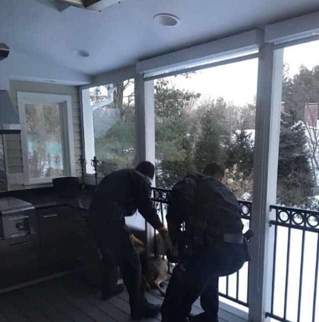 спасение животных спасение койота