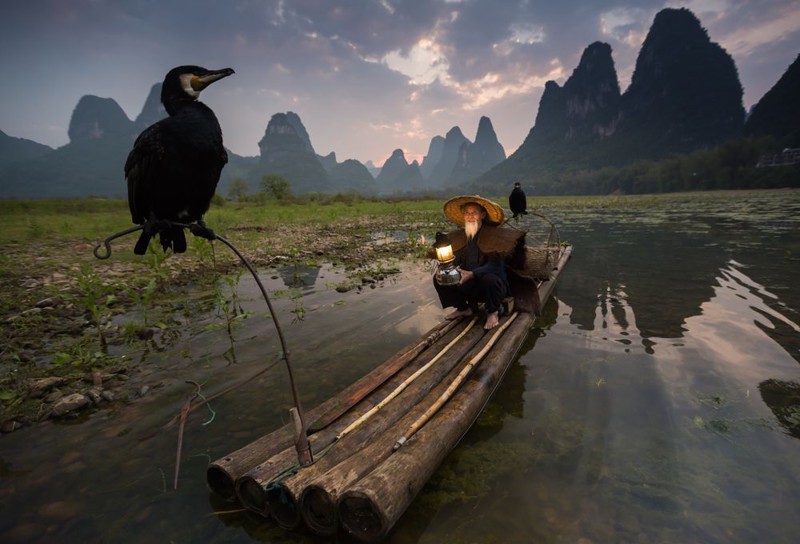 20 лучших фотографий года по версии читателей National Geographic 20 лучших фотографий года по версии читателей National Geographic
