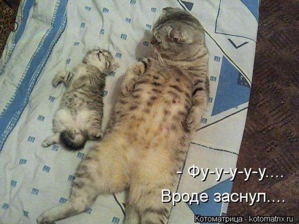 �����������(�������� � ���������)