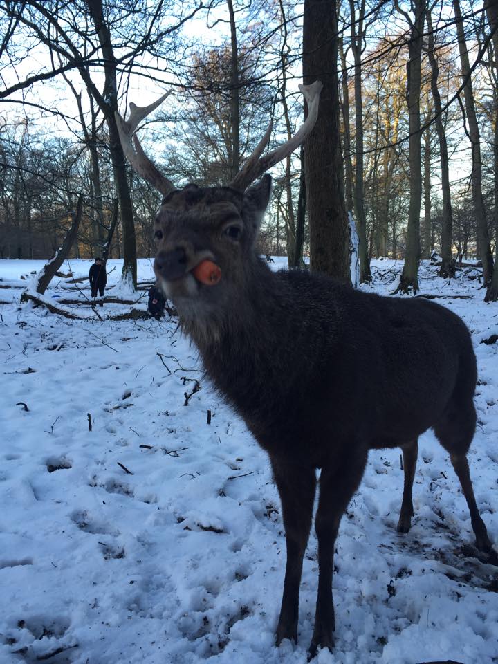 Фотоподборка за 27.01.2015 интересное, подборка, фото