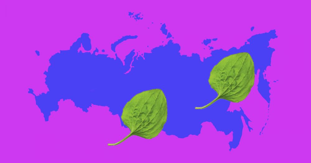 6 регионов России, где нет коронавируса