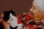 19 причин, почему каждому нужен свой кот. 19 причин, почему каждому нужен свой кот.
