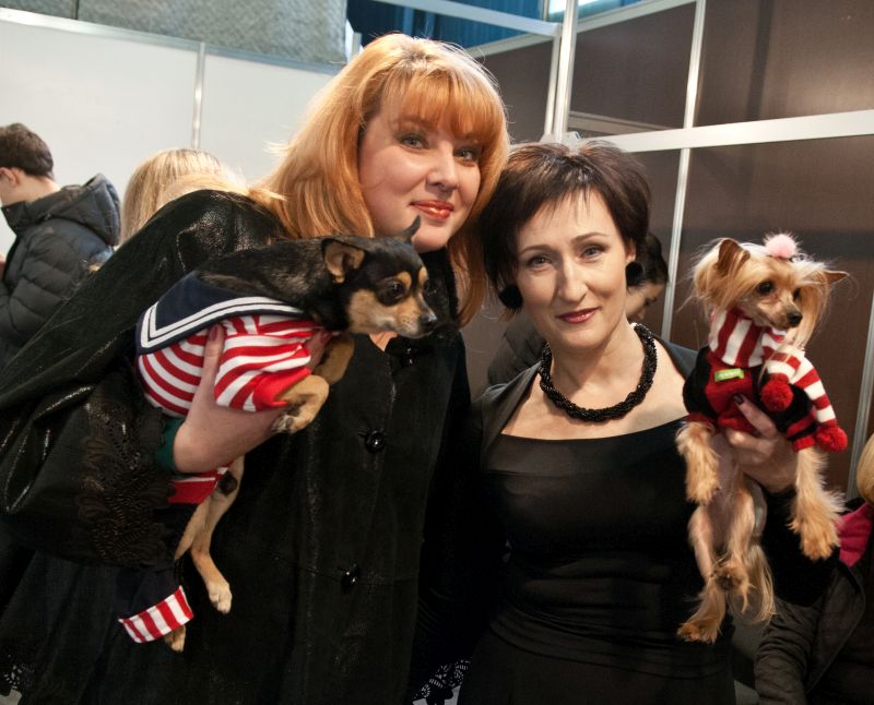 Забавный Backstage шоу маленьких собачек на на «Artpodium 2015» Забавный Backstage шоу маленьких собачек на на «Artpodium 2015»