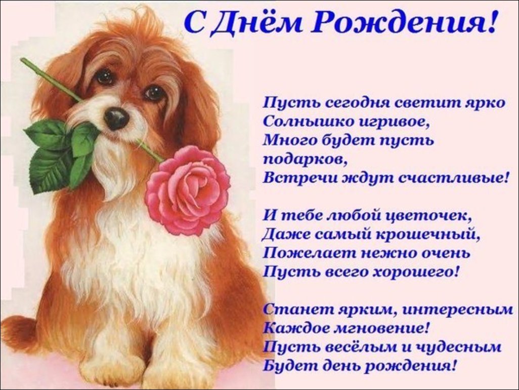 Жестяная свадьба поздравления себе фото 39