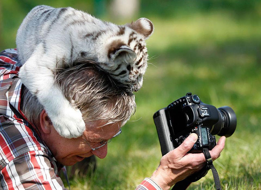 ФОТОГРАФ ДИКОЙ ПРИРОДЫ — ЛУЧШАЯ ПРОФЕССИЯ В МИРЕ