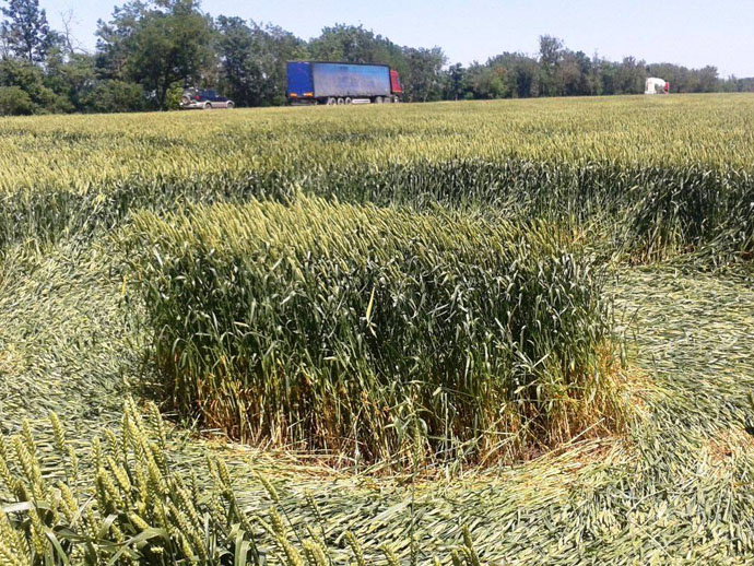 В Адыгее появились загадочные круги на пшеничном поле