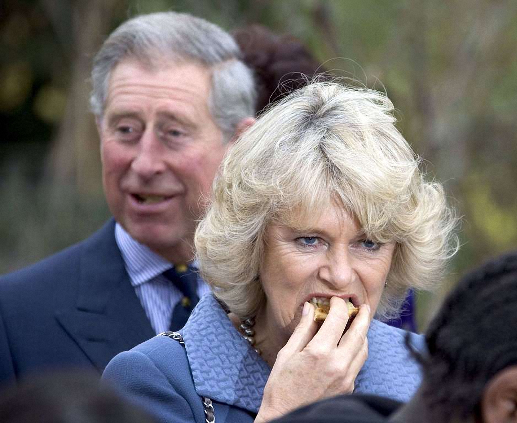 Забавные фотографии королевской семьи-12