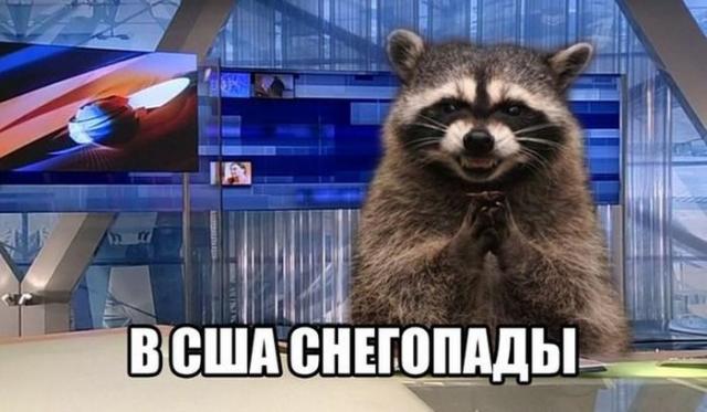 Подборка прикольных фоток (50 фото) Подборка прикольных фоток (50 фото)